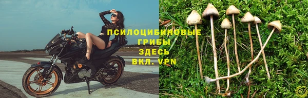 гашишное масло Балабаново